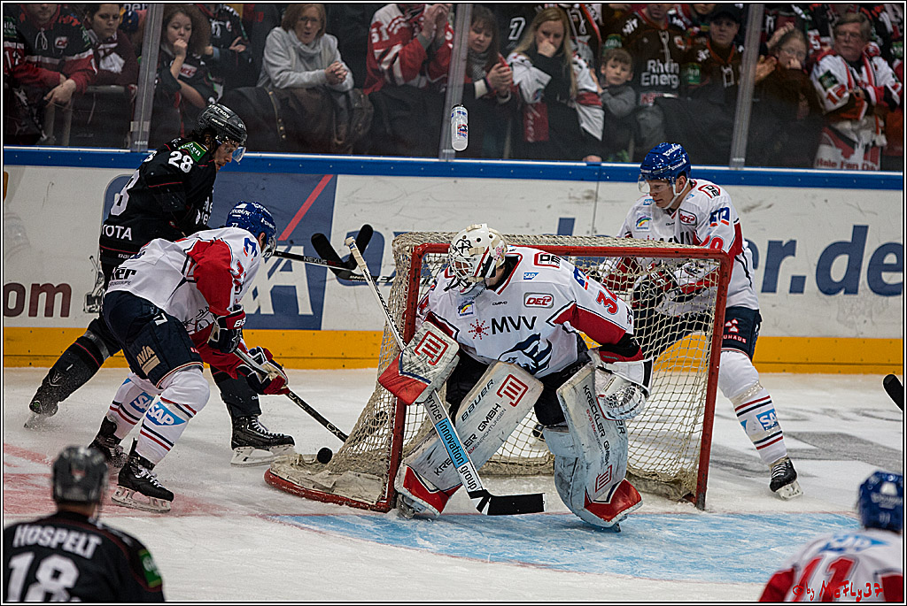 DEL, Koelner Haie - Adler Mannheim, 05.02.2017